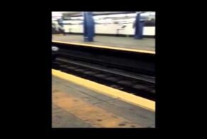 Не прошел мимо...(Котейко в метро)