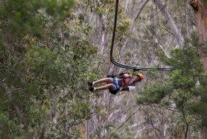 Подвесные американские горки