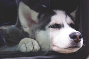  Лучшее фото за неделю