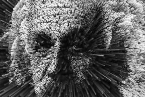 Смешная фотогалерея