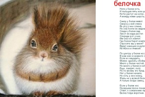 Стишата о зверятах и не только....