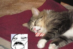 Бугагашеньки