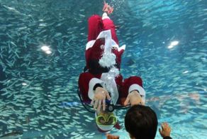 Фотоприкол фото