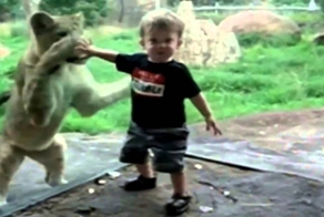 Дети в зоопарке с опасными животными