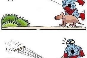 Прикольные фото и картинки от zubrilov за 12.12.2012 №139818