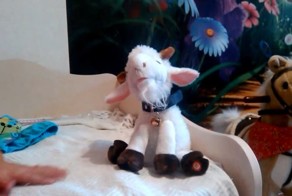 Новогодний подарок ребенку от добрых педагогов