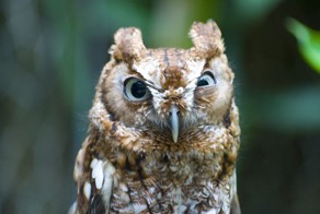 Бесплатный фотоприкол