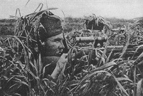 Дневник немецкого солдата