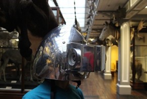 Мир глазами животных