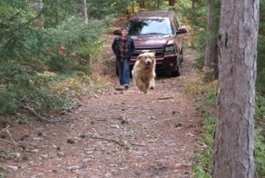 Юмор прикол