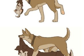 Бугагашеньки