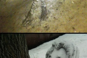 Прикольные фото и картинки от zubrilov за 13.12.2012 №140020