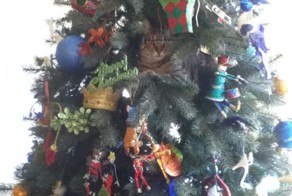 Крутые фотки