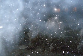 Снежная осень в уссурийске