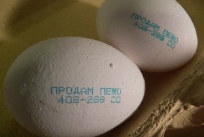 Как французы яйца крутили