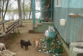 Фотоприкол недели