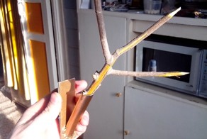 Кормушка для синиц