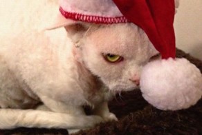 Юмор прикол