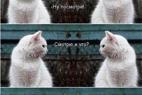 Красивые фото