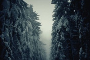 Зачетное фото