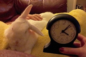 Отпадные фотки