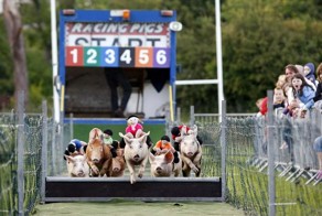 А вам что, отдельное приглашение нужно?