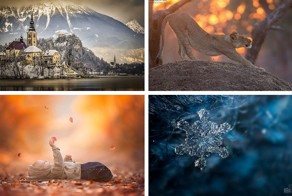 20 лучших фотографий недели