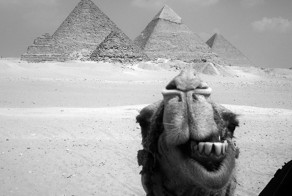 Прекрасные фото