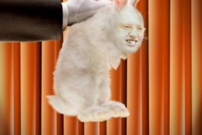 О долгах Украины, или сколько стоит содержание КРОЛИКОВ на Украине?