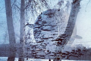 Инстаграм-фото о настоящей жизни в Северной Корее