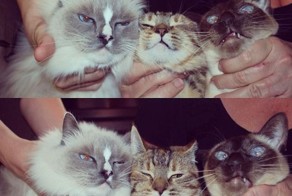 Зачетное фото