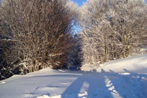 Радоваться жизни: 16 поводов на каждый день