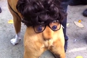 Наш ответ американскому рейтинговому агентству S&amp;P