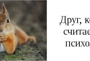 У каждого есть такой друг