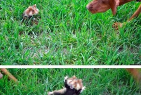 Фотоальбом