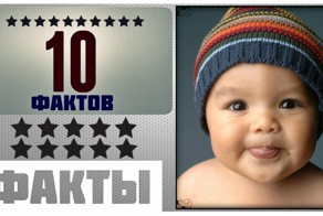 Интересные факты