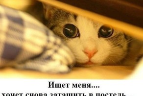 Фотоальбом