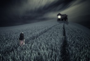 Сны. Интересные факты, связанные с нашим биологическим кинотеатром