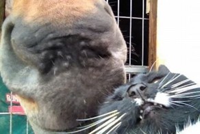 Зачетное фото