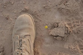 Прикольные фото и картинки от zubrilov за 19.12.2012 №140636