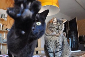 Крутые фотки