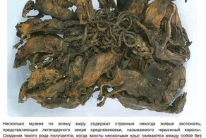 6 артефактов, хранящих тайны веков