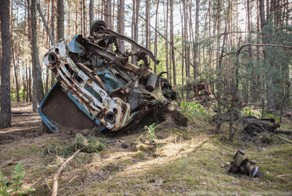 Большая прогулка в Чернобыльскую зону отчуждения и Припять