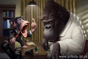 Рисунки от  Tiago Hoisel