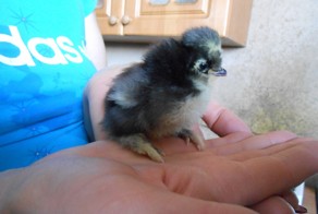 Всем добра!