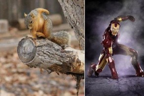 Пикантный фотоприкол