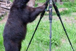 Фотоприкол бесплатно