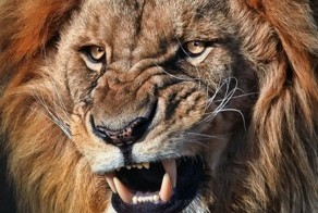 Фотоприкол бесплатно