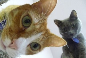 Фотоприкол фото