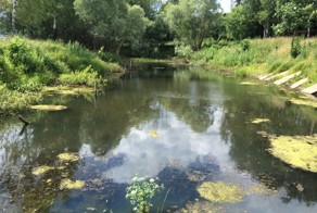 Подмосковье